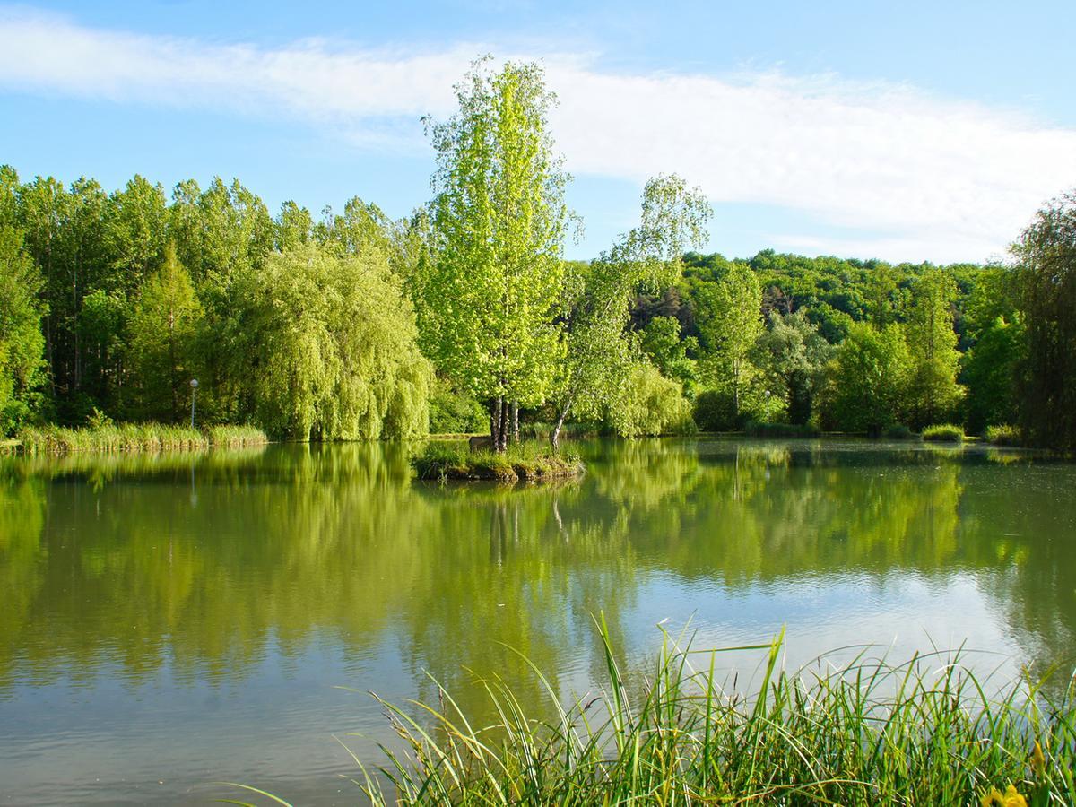 Le Domaine de L'étang de Sandanet Issac Exterior foto